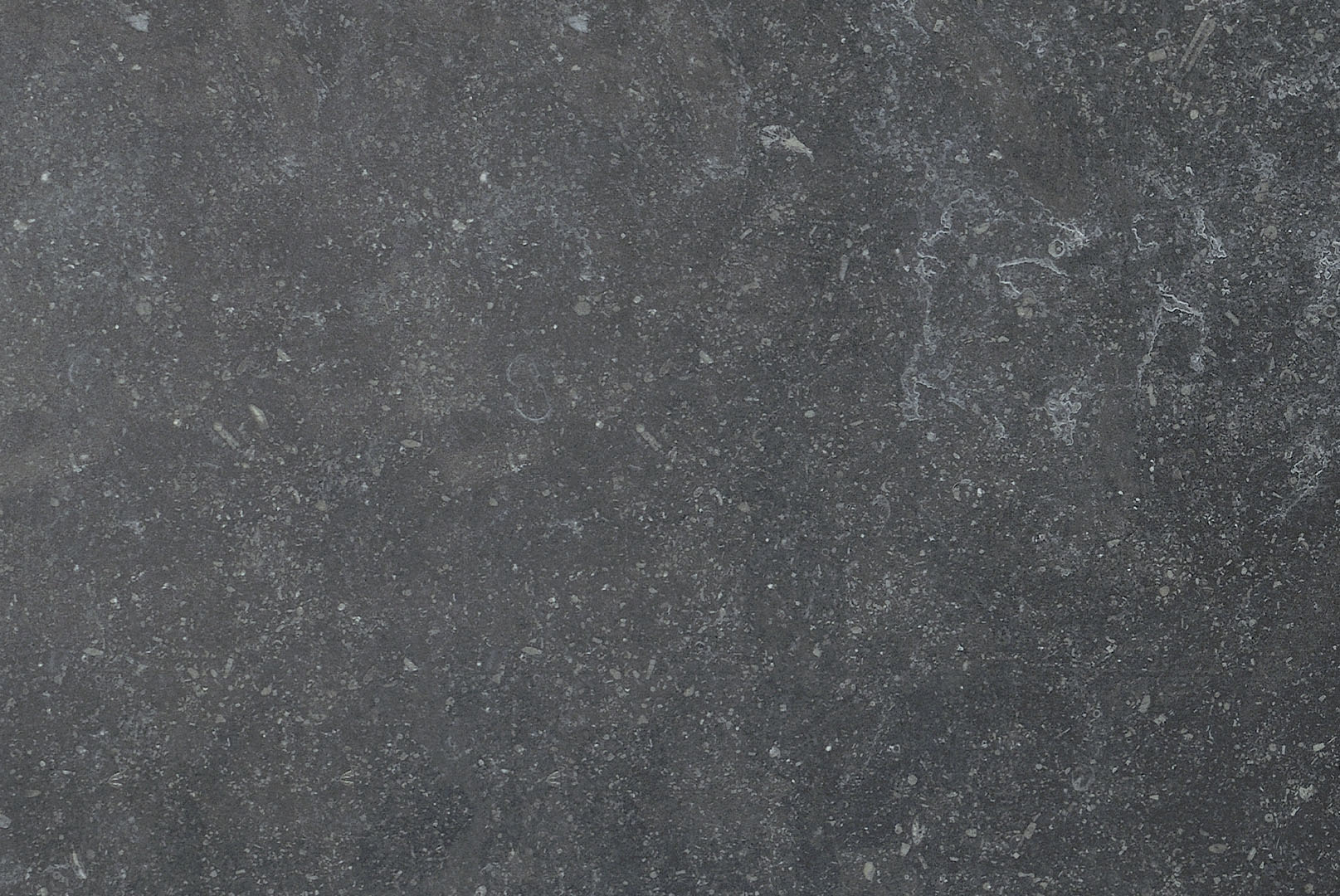 Peetri lnc 1LANNNE2436T stone tile and slab material
