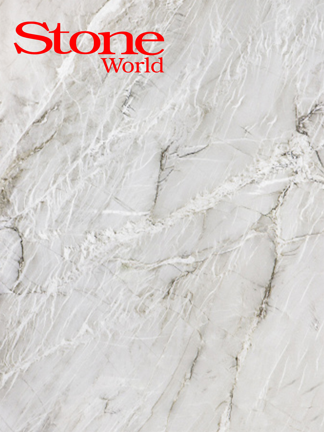 Peetri lnc stoneworldmention jan2025 stone tile and slab material